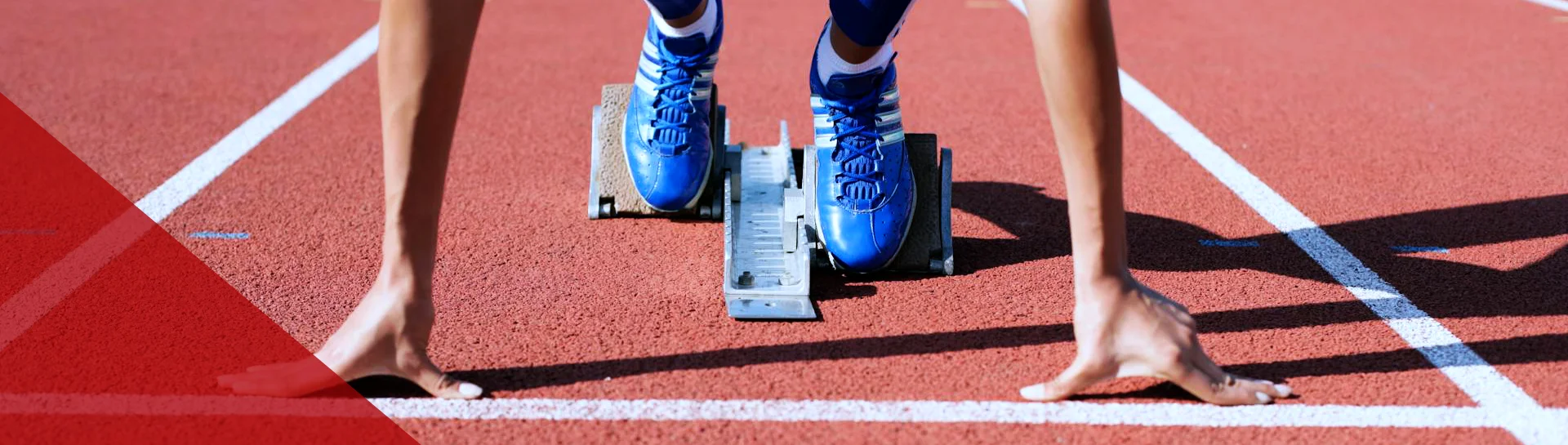 Jobs and internships